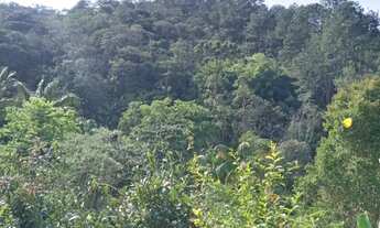 Imagem 3: 15 mil mts proximo ao centro de juquitiba 267 mil reais