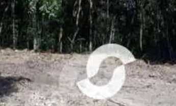 Imagem 7: Terreno à venda, 389 m² por R$ 220.000,00 - Várzea das Moças - Niterói/RJ