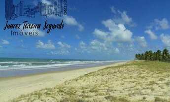 Imagem 3: Terreno no Litoral Norte Baiano com 177 hectares e a 750 metros frente de praia!