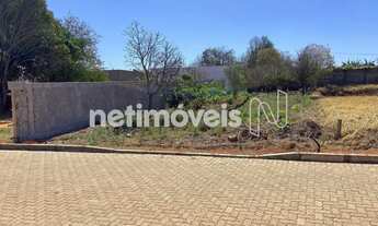 Imagem 6: Rua Alameda dos Ipês