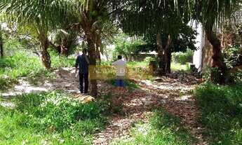 Imagem 5: Terreno comercial à venda, Lagoa Redonda, Fortaleza