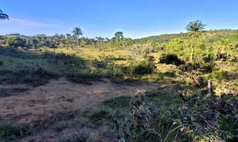 Imagem 4: Vendo fazendinha em Valença Bahia