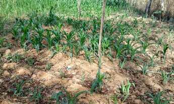 Imagem 4: Vende-se Terreno Rural 2.000m2 - Vista Privilegiada