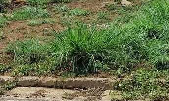 Imagem 6: Agio lote arse 152