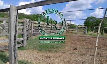 Imagem 4: Fazenda 100 Aqueires Dupla Aptidão Tocantins