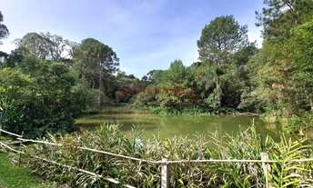 Imagem 3: Saraju Vende Terreno em chacara em São José Dos pinhais