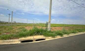 Imagem 7: Ótima área em Rio Preto - SP com 14 mil m²