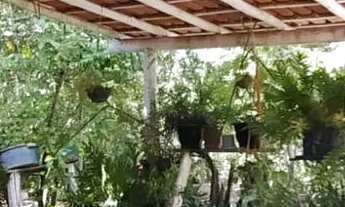 Imagem 7: Br 135 Saída Bocaiúva, Chácara 2.000 M²..150.000.00