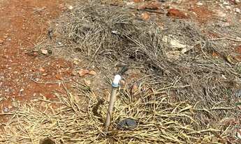 Imagem 5: Recanto das emas - Lote 300m² com água e luz - pronto para construir!