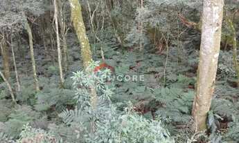 Imagem 7: Lote em condomínio em Rua Angico - Colinas - São Francisco de Paula/RS