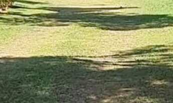 Imagem 4: CASA / CHÁCARA PARA VENDA NA CIDADE DE VALINHOS/SP