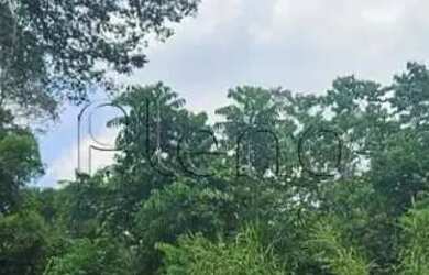 Imagem 5: Terreno à venda em Valinhos, Joapiranga, com 511 m²