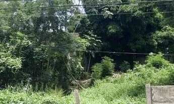 Imagem: Terreno Bem Localizado no Bairro Quilombo