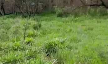 Imagem 4: TERRENO EM LOCALIZAÇÃO PRIVILEGIADA À VENDA!