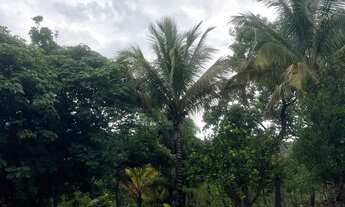 Imagem 3: Chácara Água Quente