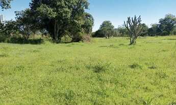 Imagem 5: VENDO 10 TAREFAS DISTRITO DE JAGUARA