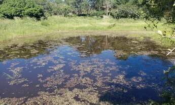 Imagem 2: VENDO 10 TAREFAS DISTRITO DE JAGUARA