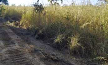Imagem 7: FAZENDA À VENDA EM VALE DO ARAGUAIA - T0 -DE 247 ALQUEIRÕES (Dupla aptidão