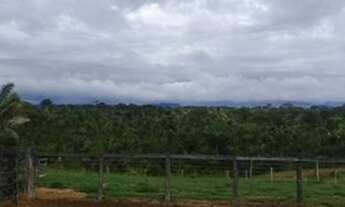 Imagem 7: FAZENDA À VENDA EM RECURSOLÂNDIA - TO - DE 700 ALQUEIRÕES (DUPLA APTIDÃO