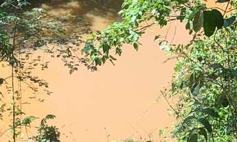 Imagem 2: Chácara 10 mil metros proximo a Cahoeira do Porto