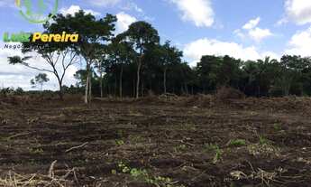 Imagem 3: FAZENDA À VENDA EM DOIS IRMÃOS - TO - 590.48 HECTARES (DUPLA APTIDÃO