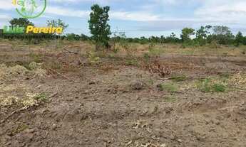 Imagem 6: FAZENDA À VENDA EM CENTENARIO - TO - DE 246 ALQUEIRÕES (Dupla Aptidão