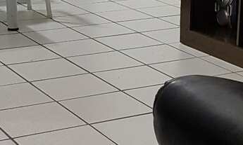 Imagem 3: APARTAMENTO DE 2 QTOS COM SUÍTE EM DOMINGOS MARTINS