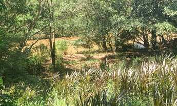 Imagem 5: Chácara 10 mil metros proximo a Cahoeira do Porto