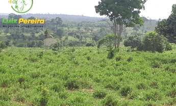 Imagem: FAZENDA À VENDA EM BREU BRANCO - PA - 290