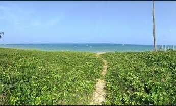 Imagem 3: Terreno para aluguel, venda, Poço, Cabedelo - 18004