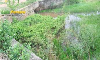 Imagem 5: FAZENDA À VENDA EM GOIANÉSIA - PA - 3.920 HECTARES - (LAVOURA DE SOJA