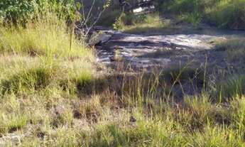 Imagem 3: FAZENDA À VENDA EM SÃO VALÉRIO - TO - DE 105 ALQUEIRÕES (Pecuária