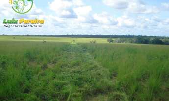 Imagem 4: FAZENDA À VENDA EM PALMEIRANTE - TO - 855 HECTARES (DUPLA APTIDÃO