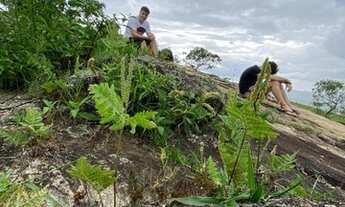 Imagem 4: Terreno 15 Hectares em Passa Tempo Casa Luz e Agua