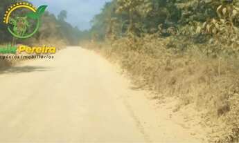 Imagem 6: FAZENDA À VENDA EM PARAGOMINAS PA - 7.000 HECTARES