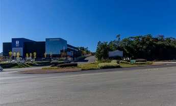 Imagem 6: Vendo Ótimo Terreno em área urbana com 59.600 m² em Farroupilha RS