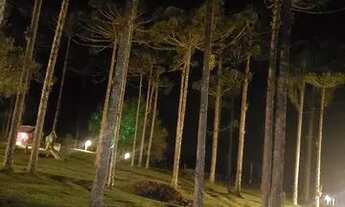 Imagem 2: Chacara em condomínio campo alegre