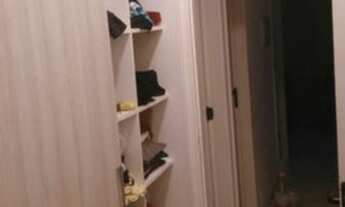 Imagem 4: SAO PAULO - Padrão - Jardim Sabara