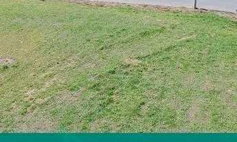 Imagem 2: Terreno à venda, 256 m² por R$ 88.750 - Feital - Pindamonhangaba/SP