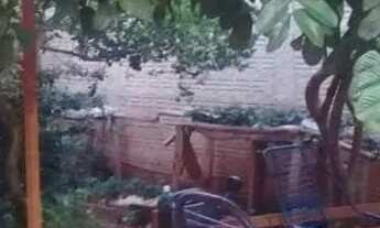 Imagem 4: Sensacional, vale a pena conferir!