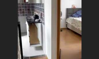 Imagem 4: Alugo apartamento, alameda real