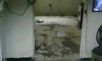 Imagem 3: Vendo casa bairro coroado 3