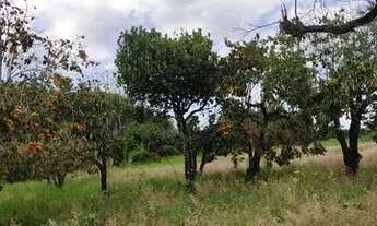 Imagem 2: C- Lançamento Terreno / lote com venda por R$80.000