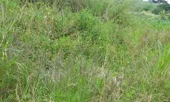 Imagem 4: Sitio em saire Chácara com venda por R$150.000