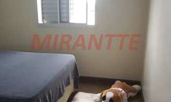 Imagem 4: Apartamento de 55m² com 3 quartos em Limão