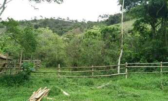 Imagem 6: Sítio 13,5 alqueires