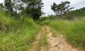 Imagem 5: Vendo lote em igarapé