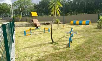 Imagem 6: Apartamento para aluguel com 2 quartos no Indianopolis