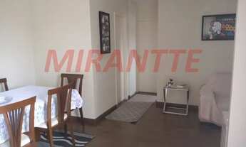 Imagem 3: Apartamento de 55m² com 3 quartos em Limão