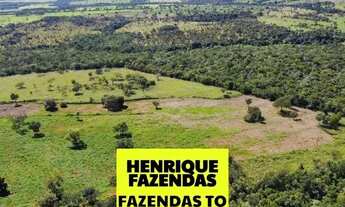 Imagem 7: Fazenda dupla aptidão região entre Paraíso e Divinópolis